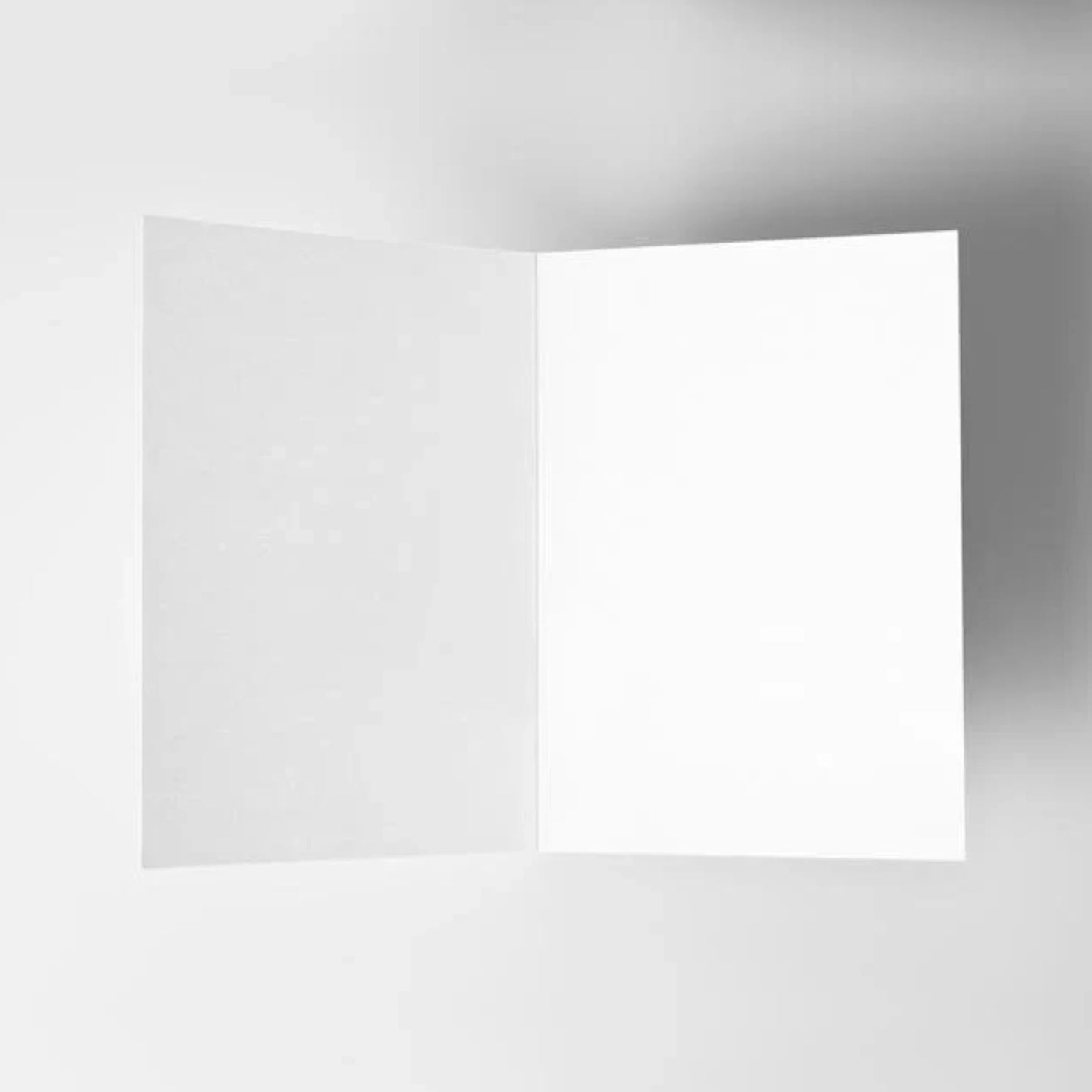 Inside of greeting card with no illustrations or writing.