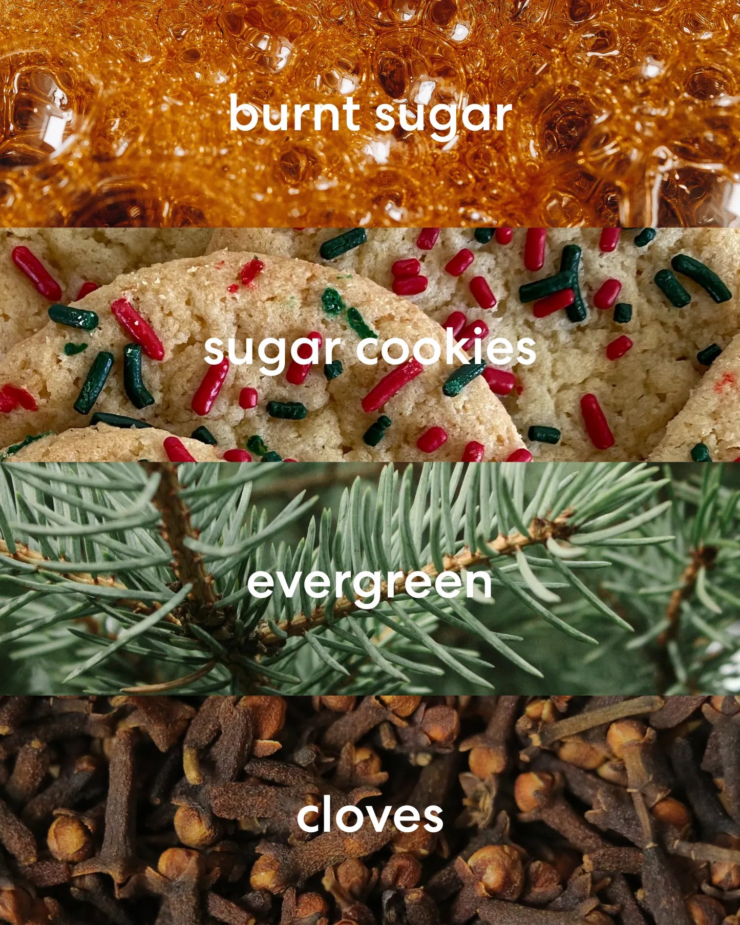 Sweet burnt sugar and sugar cookies with fresh evergreen and spiced clove scent notes.