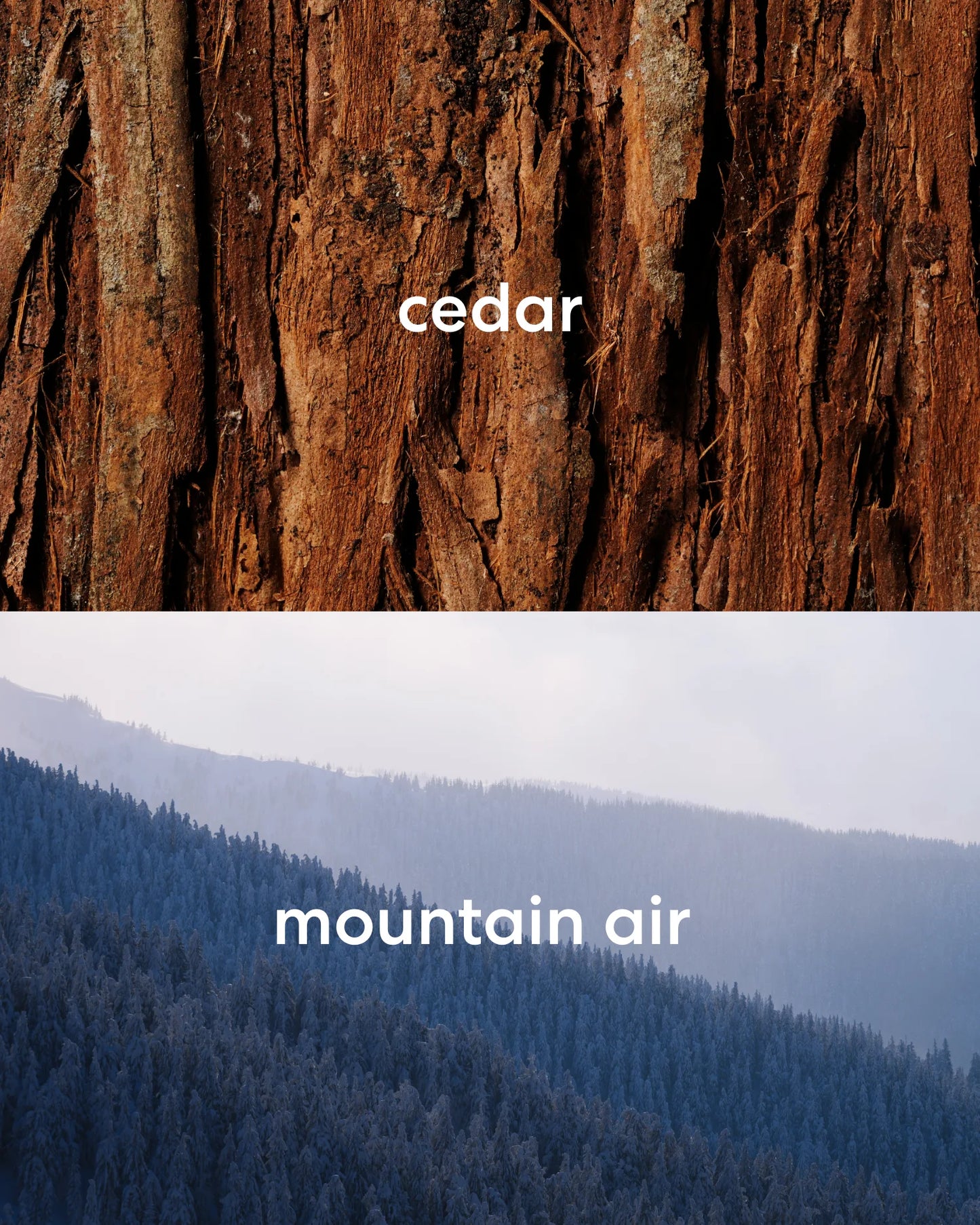 Earthy, rich cedar wood and fresh, crispy mountain air scents.