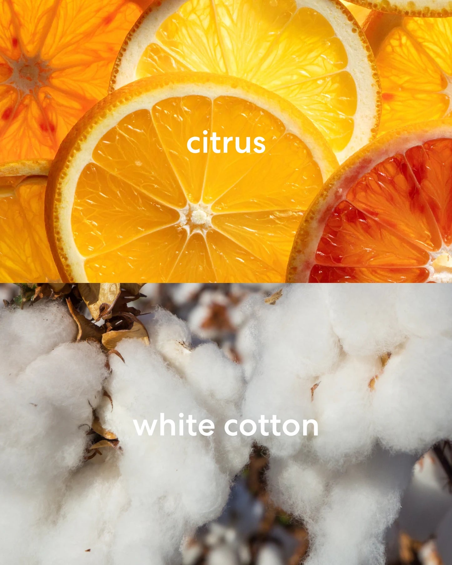 Bright, zesty citrus and earthy, fresh white cotton scents.