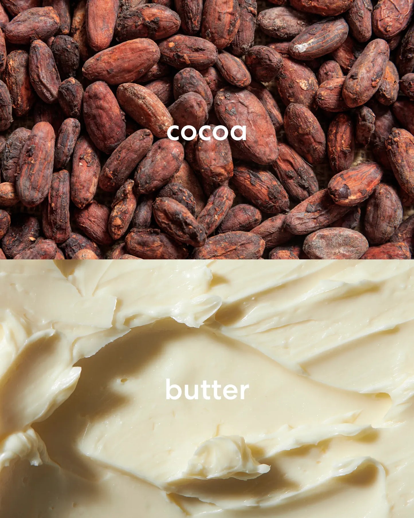 Rich. sweet cocoa beans and creamy, sweet butter scent notes.