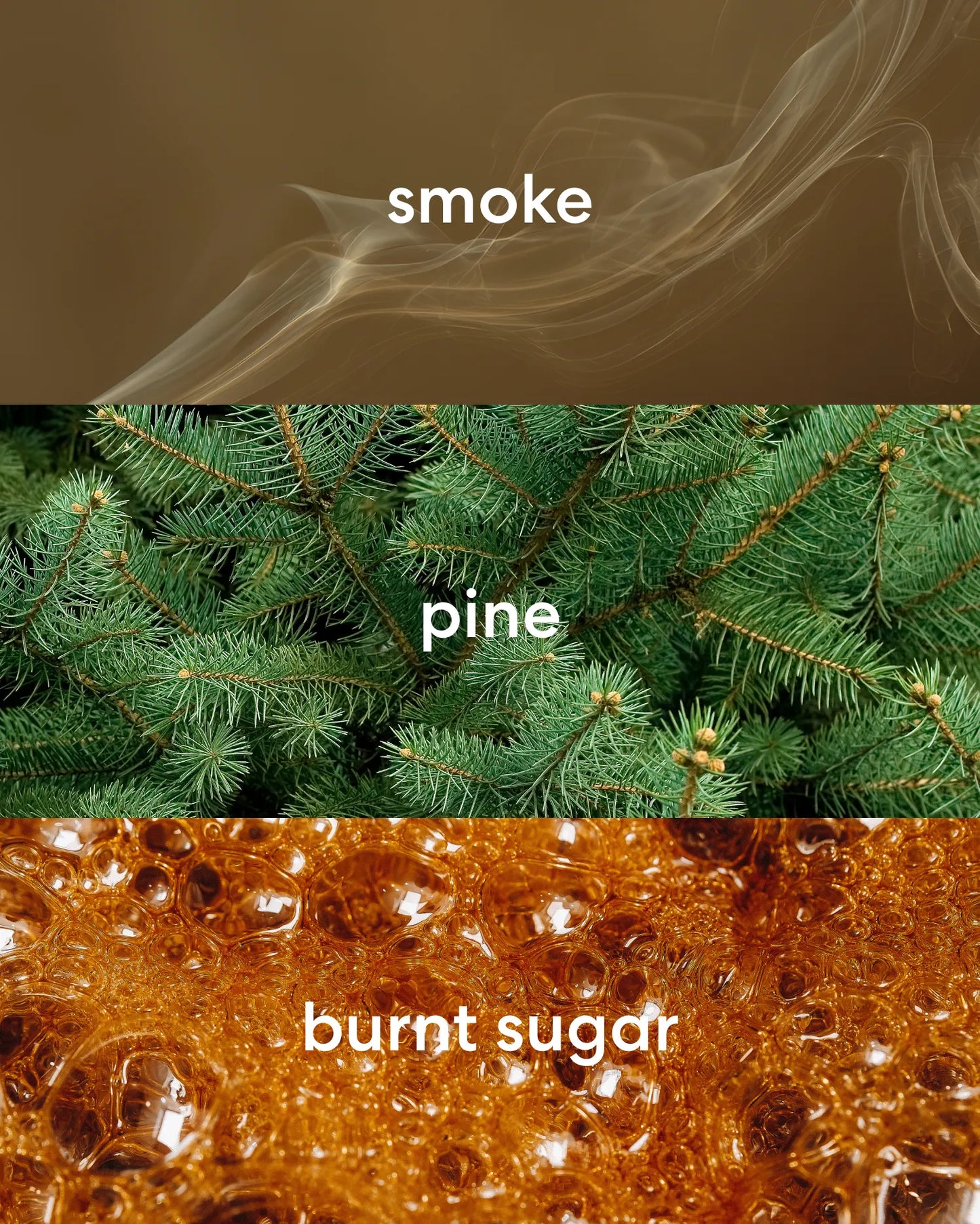 Warm smoke, fresh pine, and sweet burnt sugar scents.