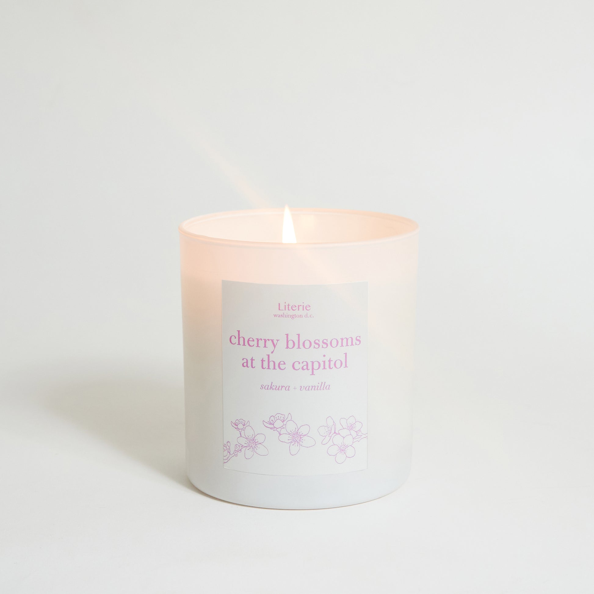 Cherry blossoms at the capital candle.
