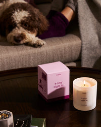 'a cozy night in' candle and box by Literie on a coffee table with a dog an person on the couch.