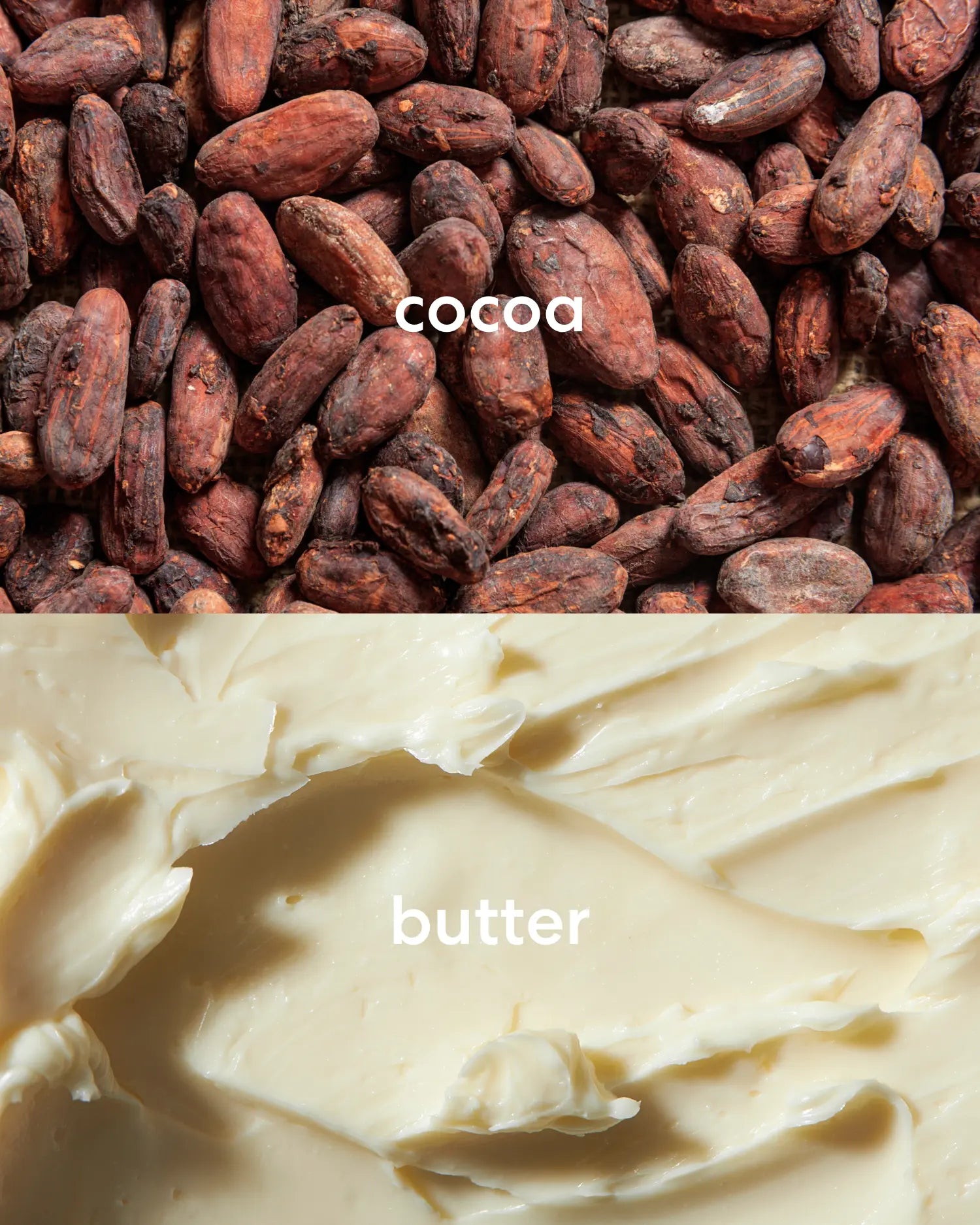 Rich. sweet cocoa beans and creamy, sweet butter scent notes.