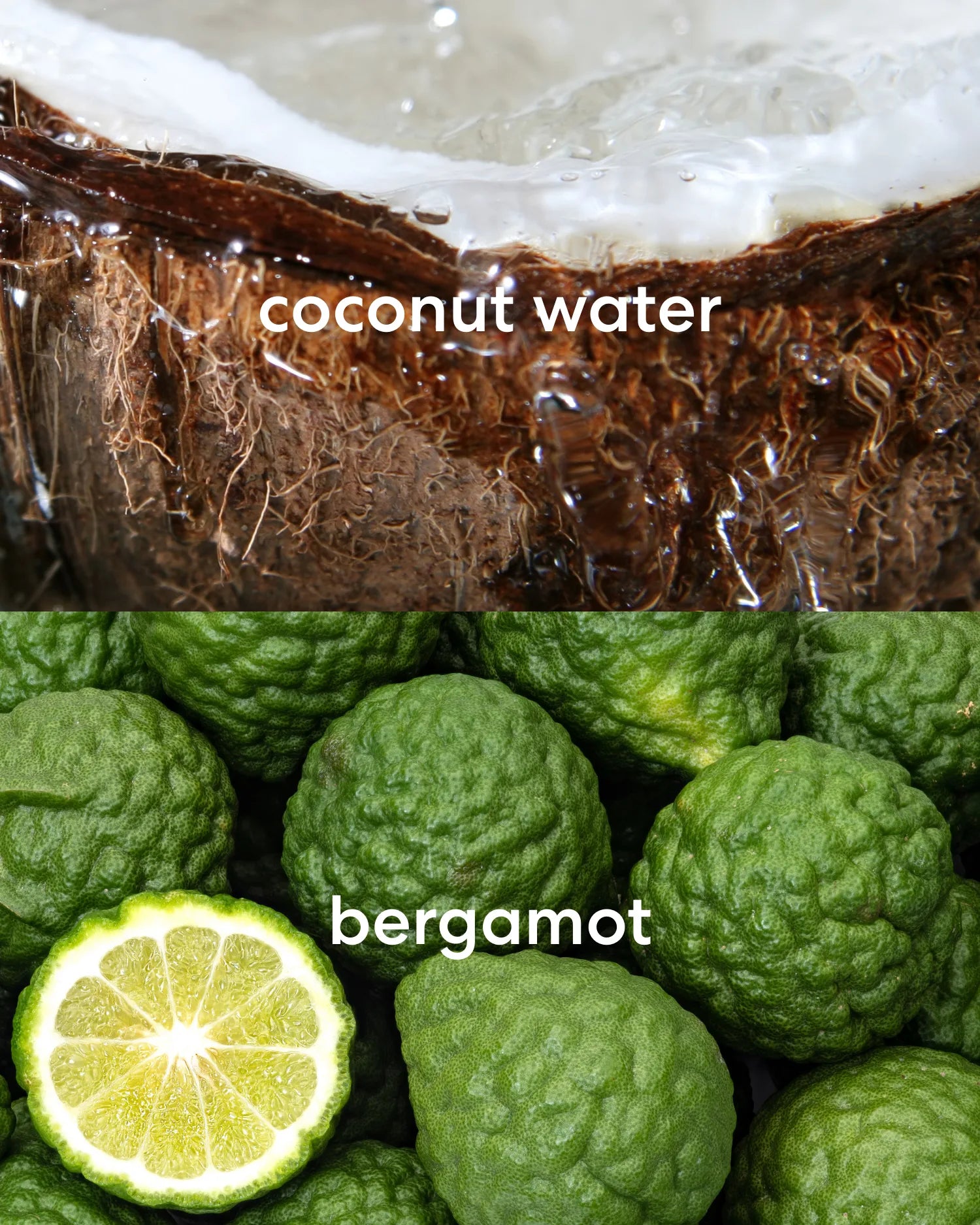 Sweet, fresh coconut water and bright, citrusy bergamot scents.