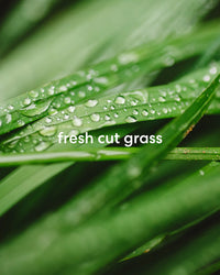 Fresh and earthly cut grass scents.