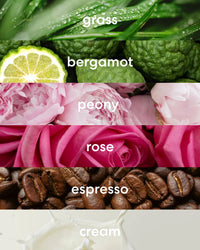 Fresh grass, citrusy bergamot, floral peony, delicate rose, bold espresso beans, and sweet cream scent notes.