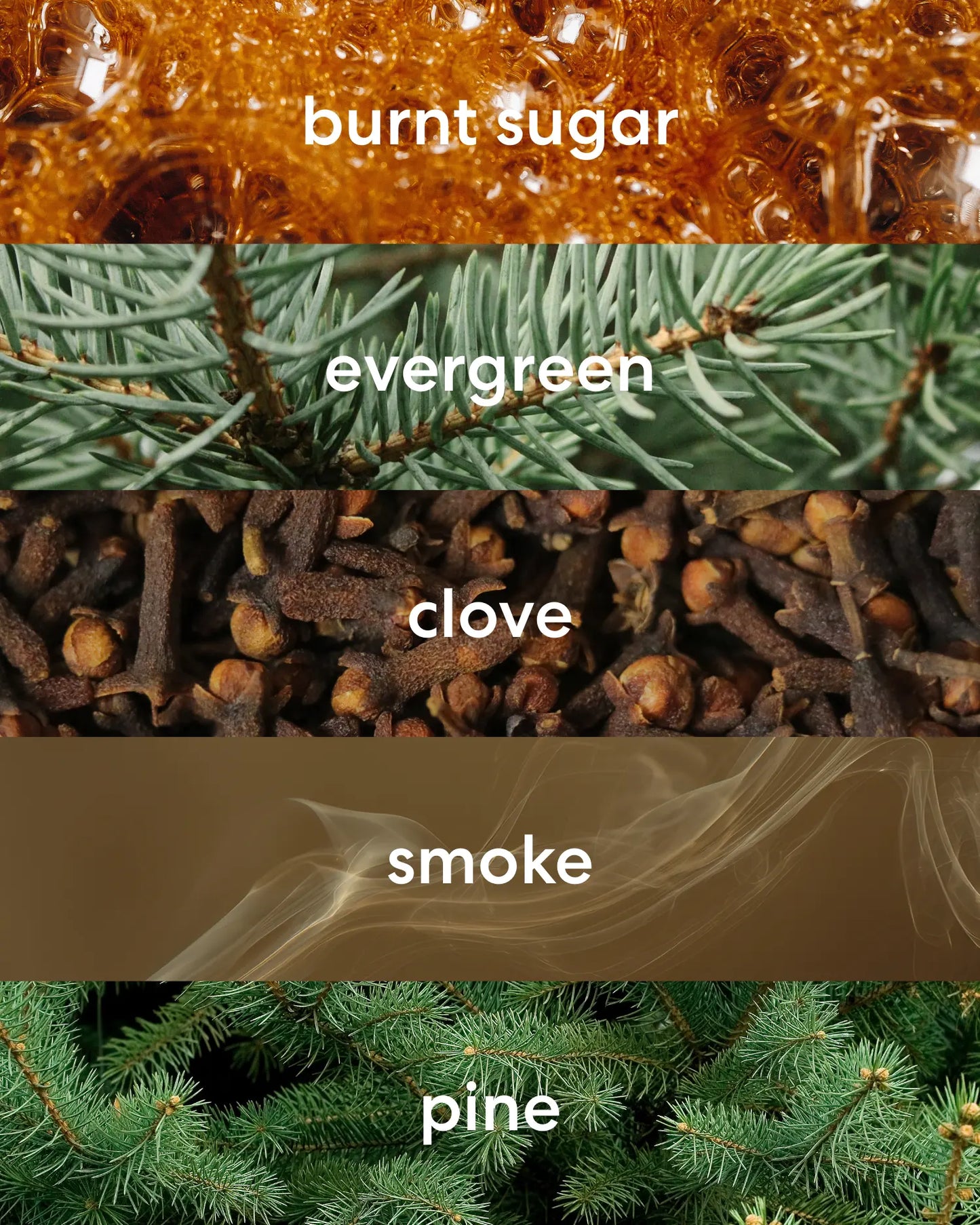 Burnt sugar, evergreen, clove, smoke and pine scent notes.