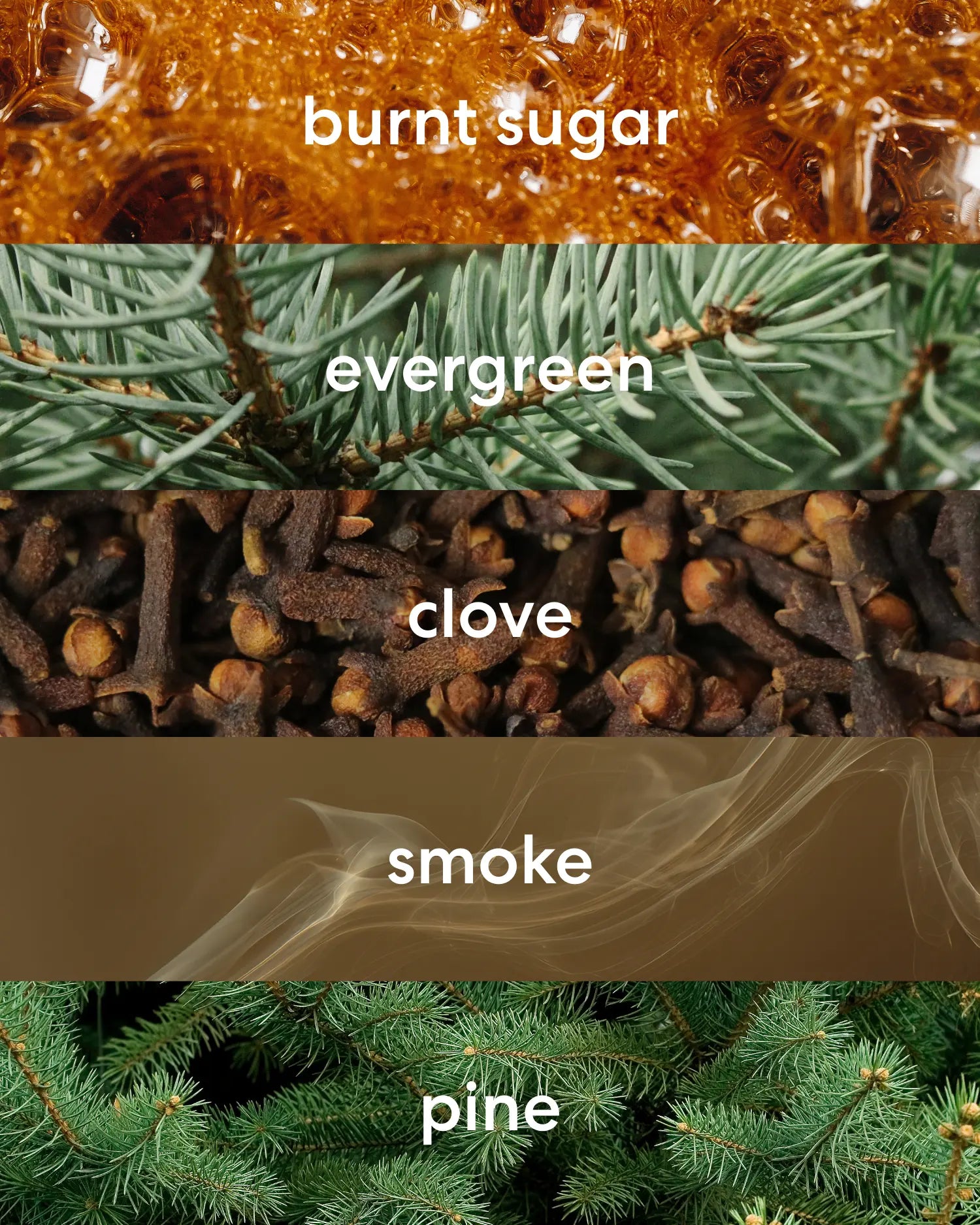 Burnt sugar, evergreen, clove, smoke and pine scent notes.