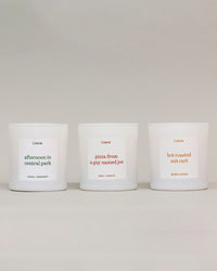 Three white scented candles in matte white jars, arranged side by side on a light gray surface against a neutral gray background. Each candle has a minimalist white label with black and muted red text, featuring the brand 'Literie' and scent names: 'afternoon in central park', 'pizza from a gay named joe', and 'hot roasted nut cart'.
