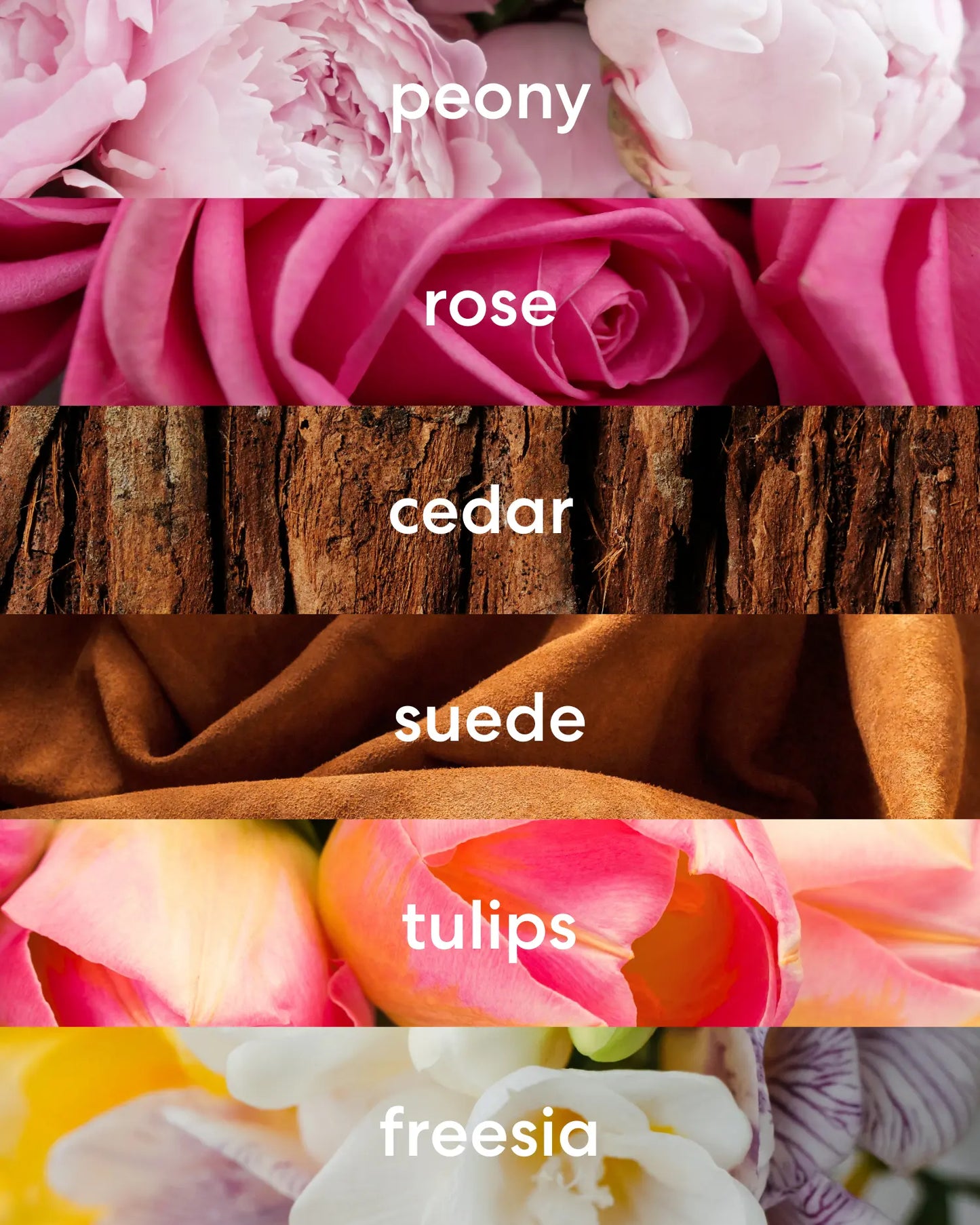 In Lieu of Flowers Gift Set