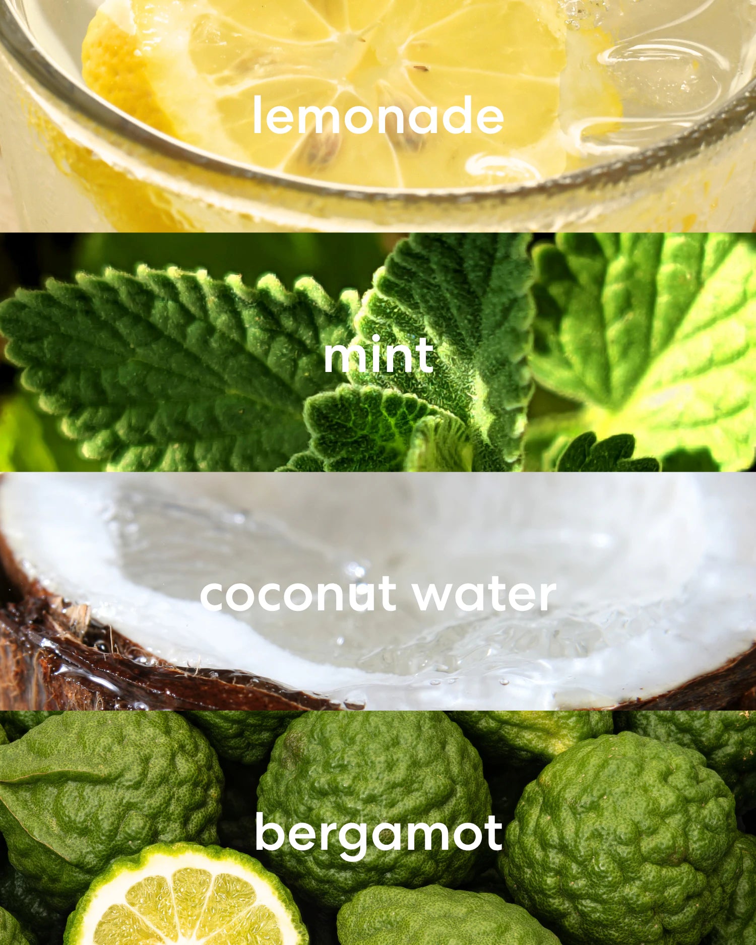 Collage of lemonade, mint leaves, coconut water, and bergamot with labels.