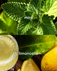 Top: Close-up of mint leaves, Bottom: Limoncello in a glass with lemon slices.