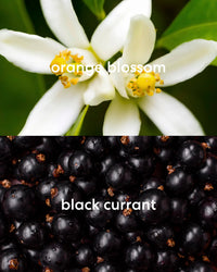 Orange blossom flower and black currants with labels showing scent notes of candle.