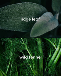 Earthy smelling sage leaf with spiced wild fennel.