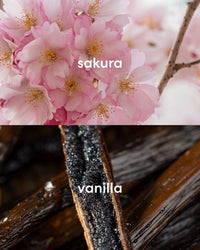 Floral smelling cherry blossoms and sweet vanilla bean.