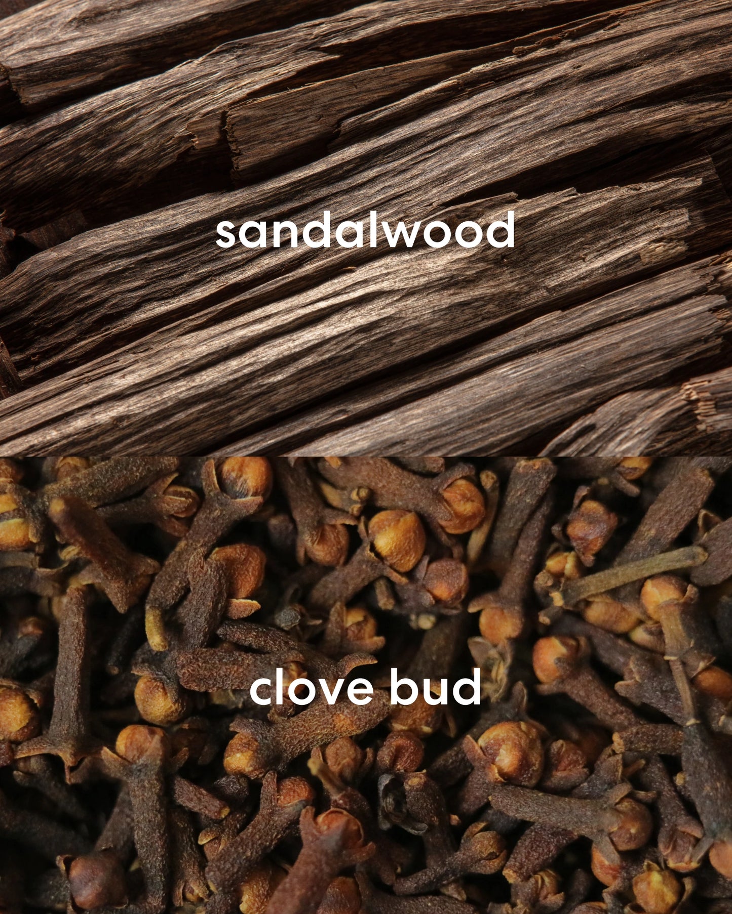 Earthy sandalwood with rich clove buds.