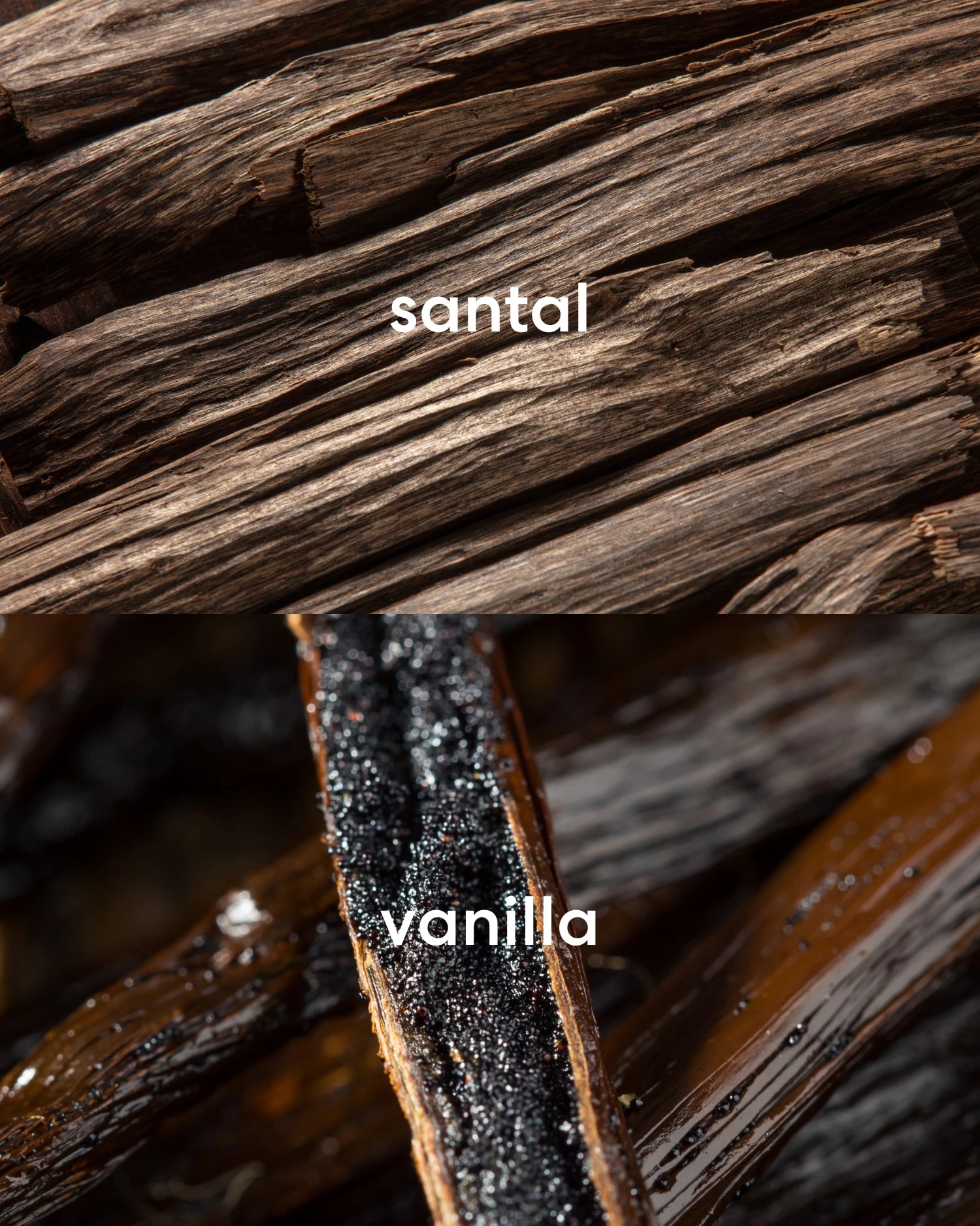 Earthy and complex santal with sweet and rich vanilla bean.