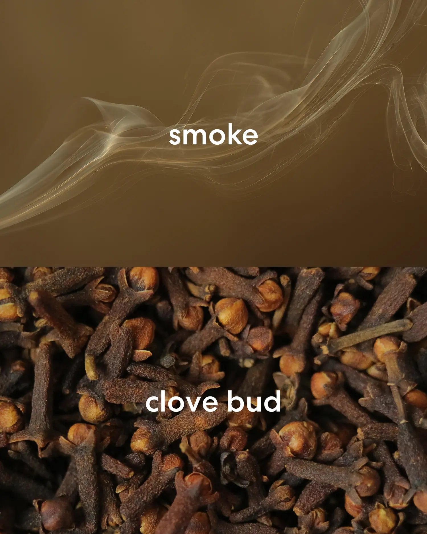 Sweet smelling smoke and earthy clove bud.