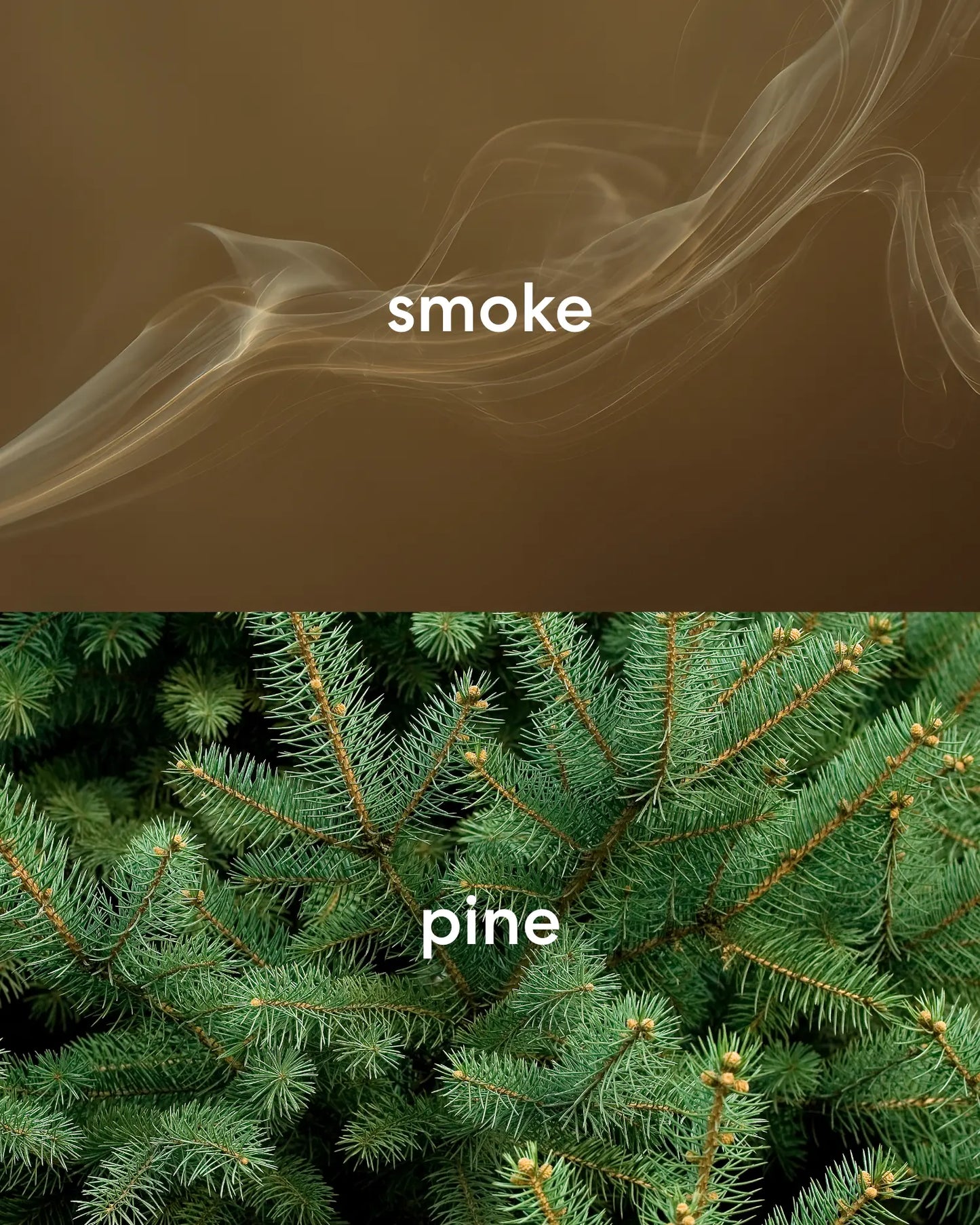 Sweet smelling smoke and fresh pine.