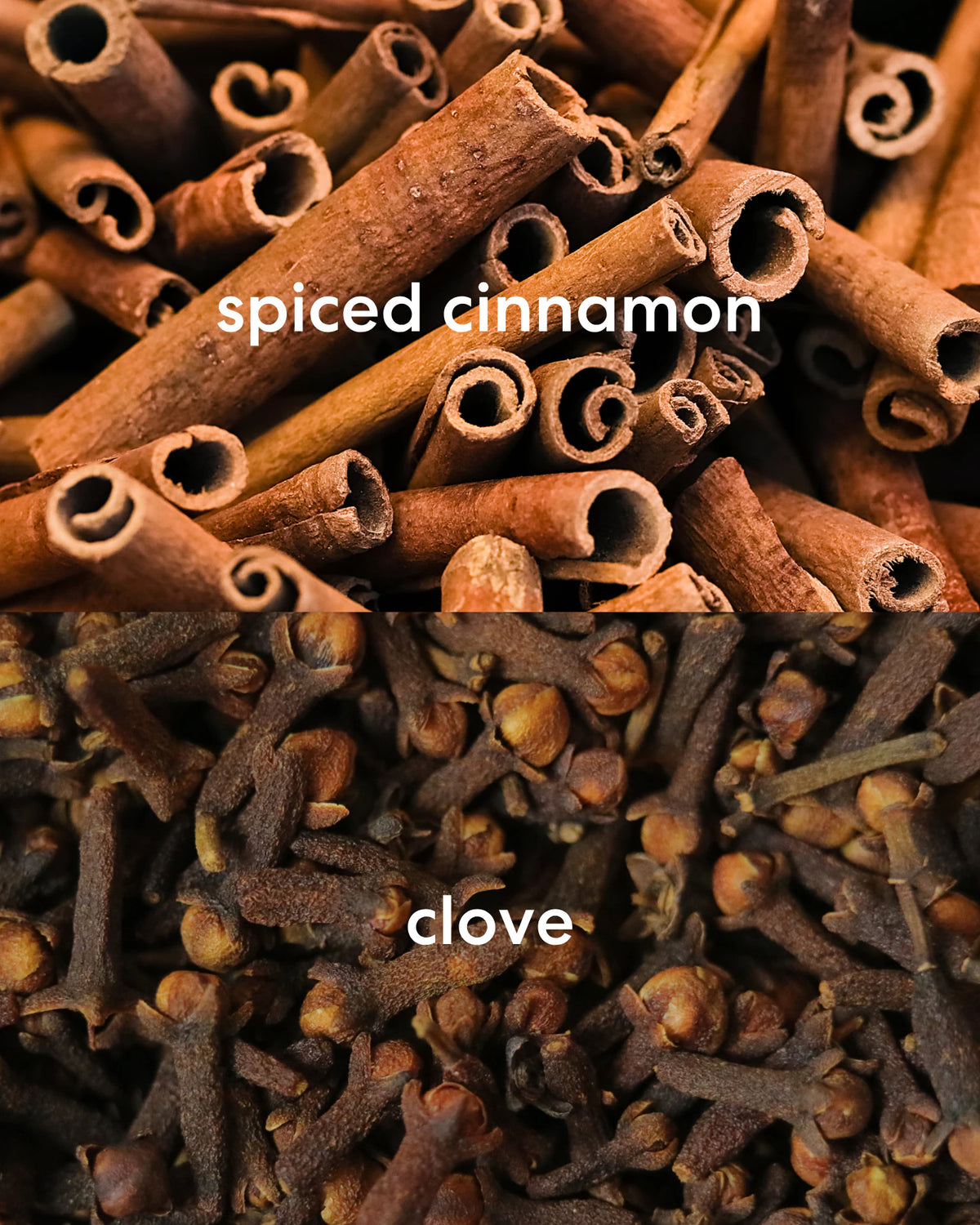 A split-screen close-up showing two scent notes: the top half labeled 'spiced cinnamon' displays rolled cinnamon sticks and the bottom half labeled 'clove' shows dark brown cloves.