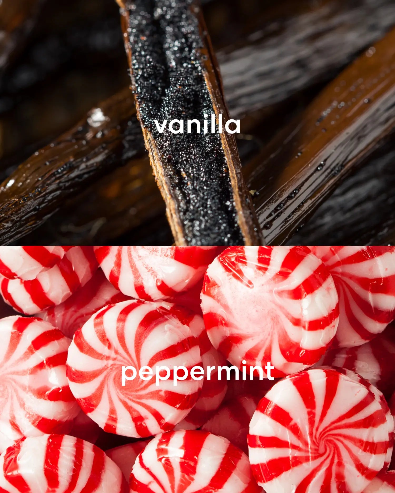 Sweet vanilla bean and peppermint candy.