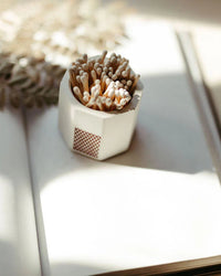 Small match holder on an open book with sunlight casting shadows