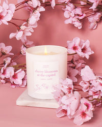 Cherry blossoms at the capital candle with flowers.