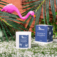 Snowing in Pasadena